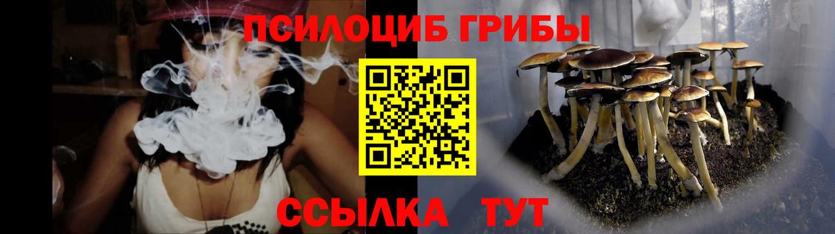 Галлюциногенные грибы Magic Shrooms  Вход с VPN  Электросталь 